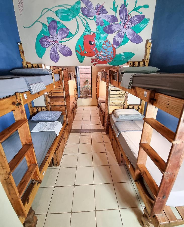 Chapada Backpackers Agencia