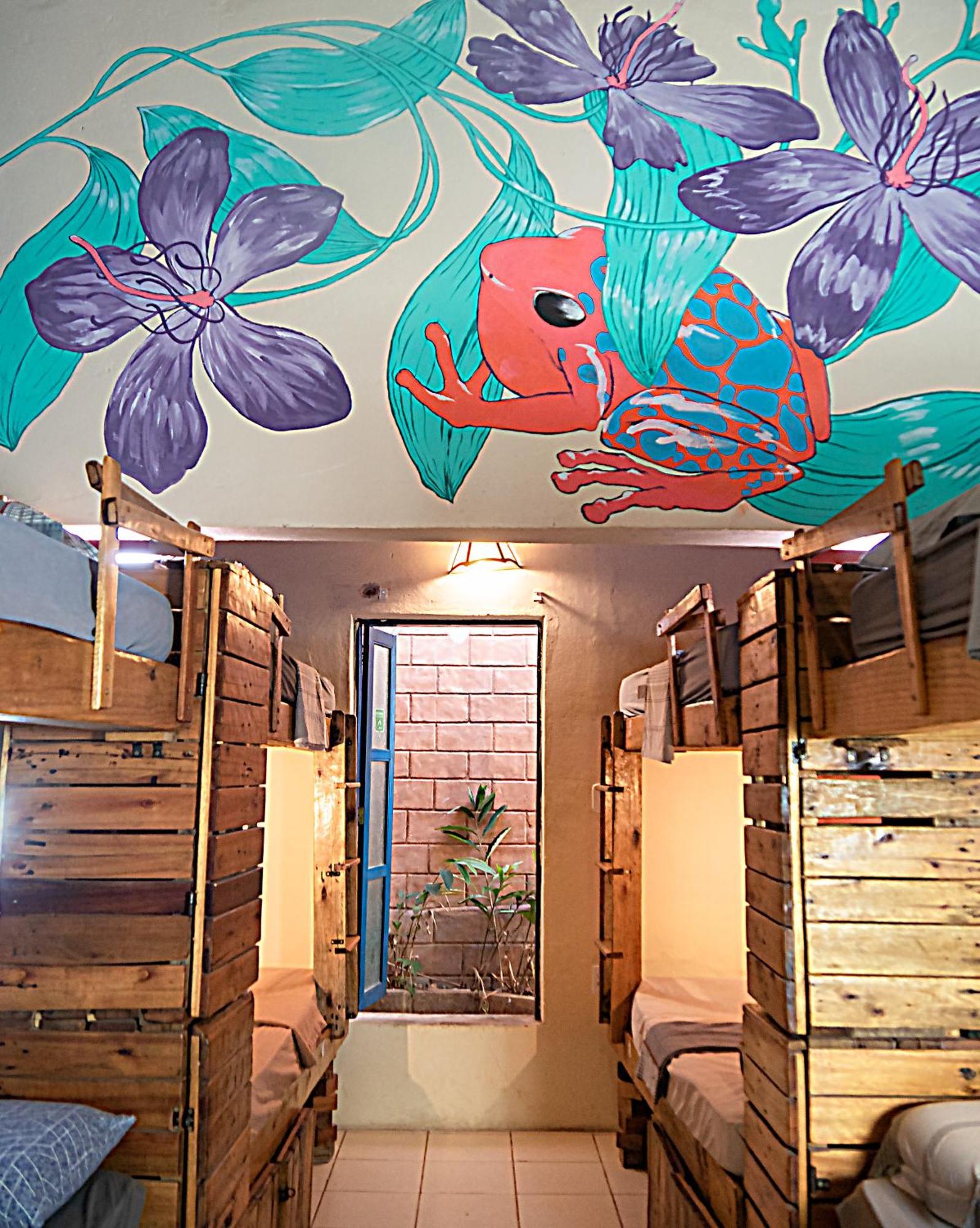 Hostal Chapada Backpackers Agencia
